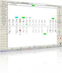 Il miglior gestionale - Gestionale Studio Odontoiatrico Windent - Quaderno  Elettronico